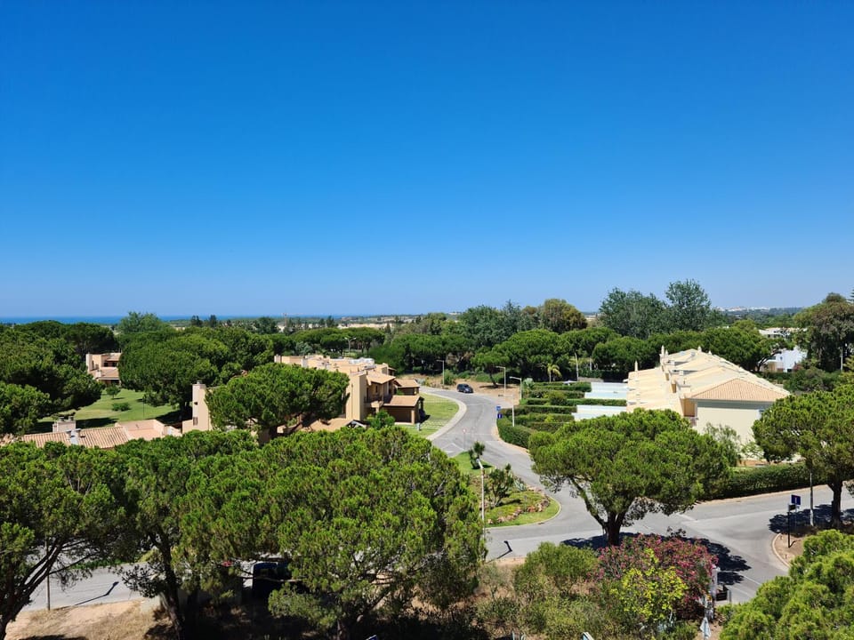 Bird's eye view, Street view