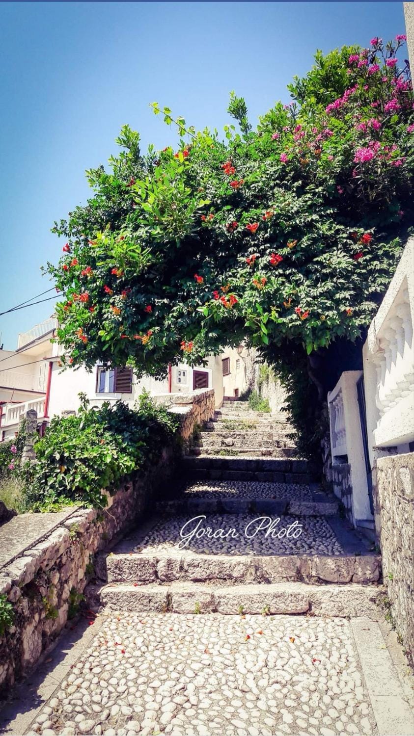 Property building, Facade/entrance, Street view