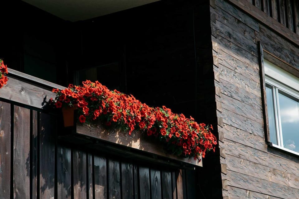 Ferienwohnungen Im Ried Apartment in Immenstadt