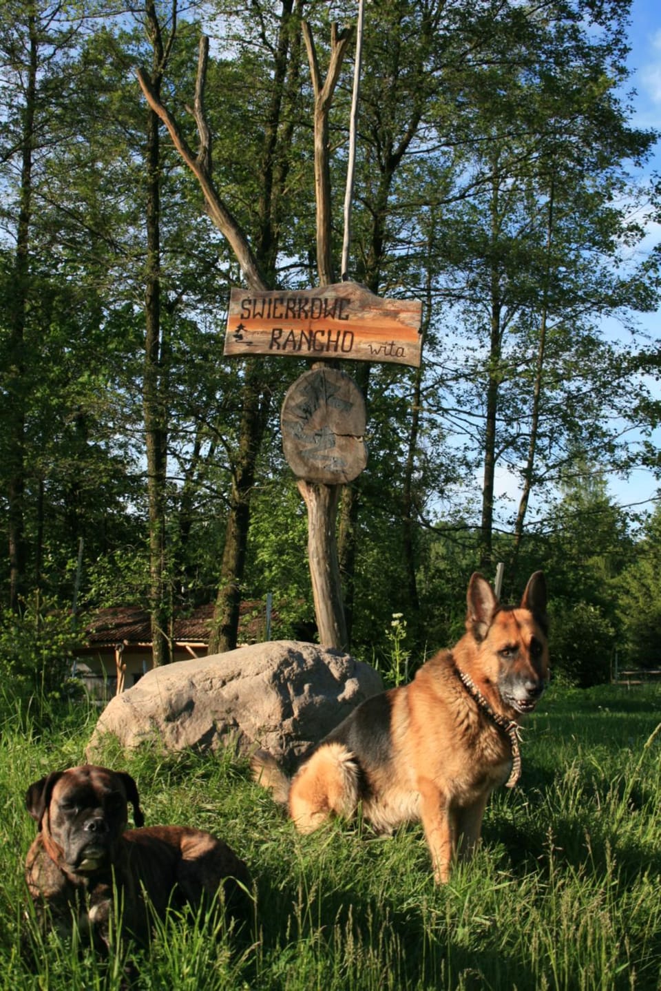 Nearby landmark, Staff, Spring, Day, Property logo or sign, Natural landscape, On site, Pets