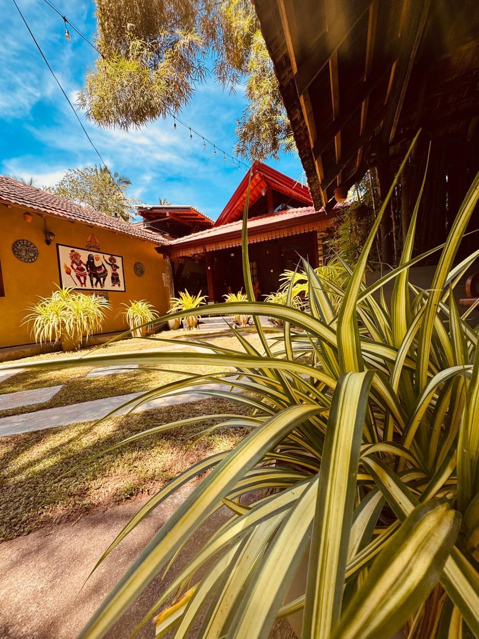 Property building, Day, Garden, Garden view