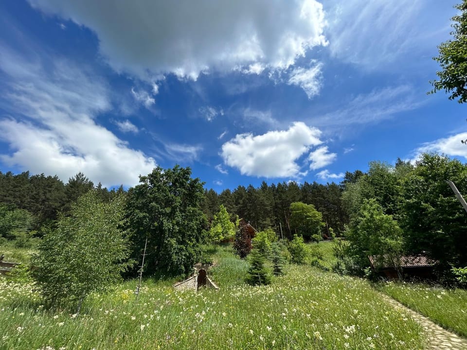 Căsuța din pădure Apartment in Romania