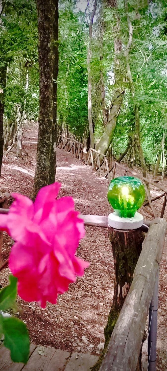 Agriturismo Parco dai Nonni Farm Stay in Province of Foggia