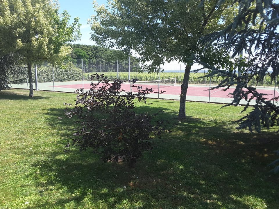 Tennis court, Tennis court