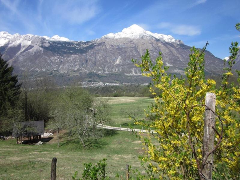 Počitniška hiška Jager Čezsoča House in Friuli-Venezia Giulia
