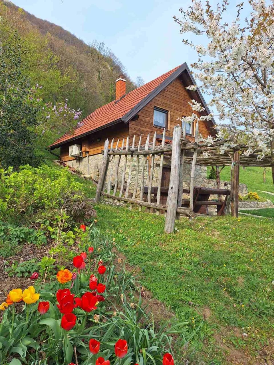 Garden view