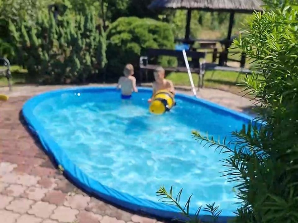 Day, Natural landscape, Garden, Garden view, Pool view, Swimming pool, Swimming pool