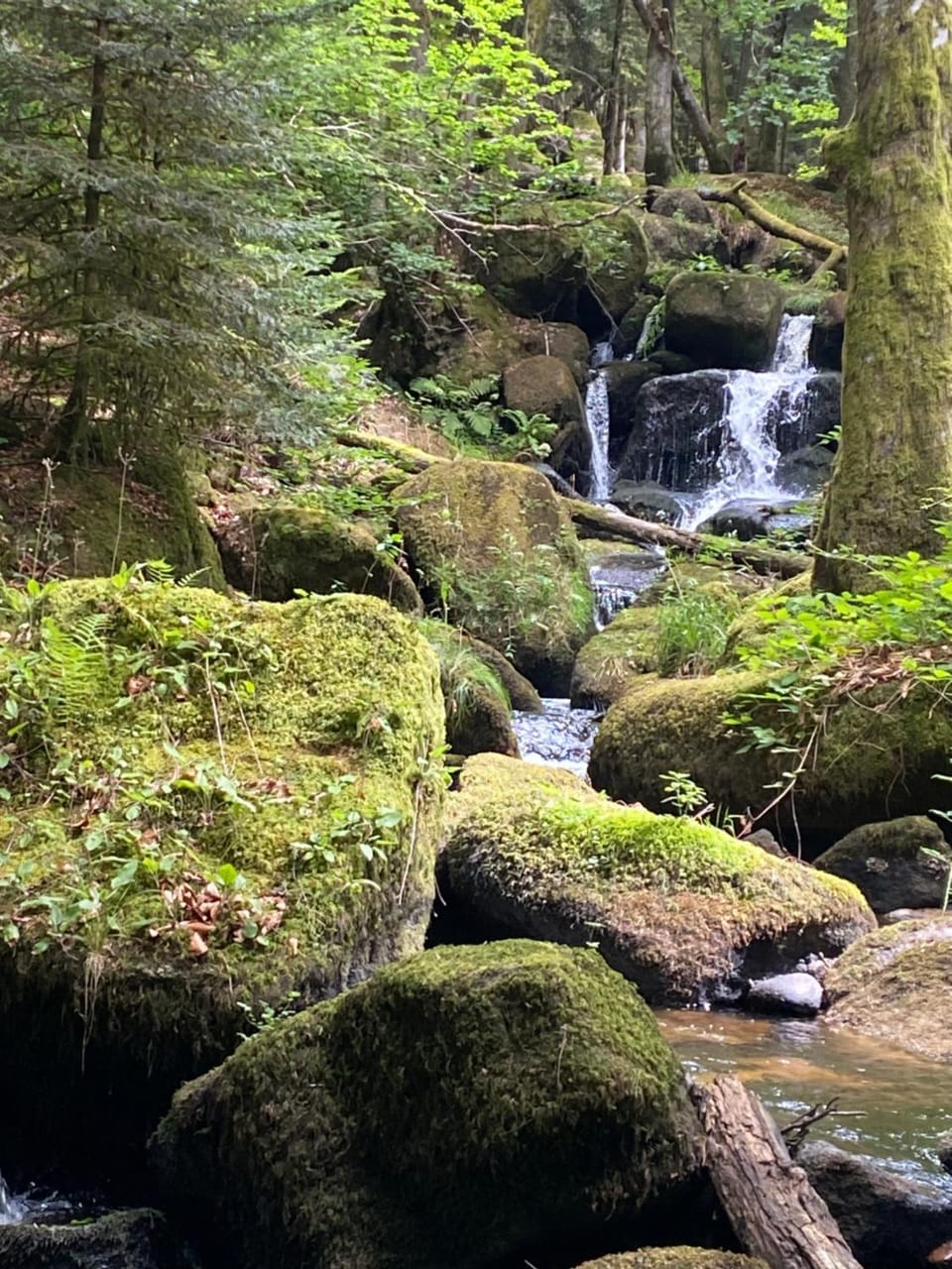 Nearby landmark, Natural landscape