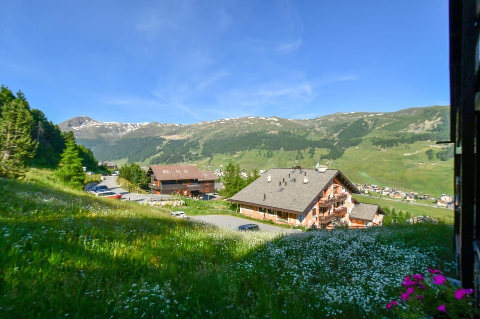 Neighbourhood, Mountain view