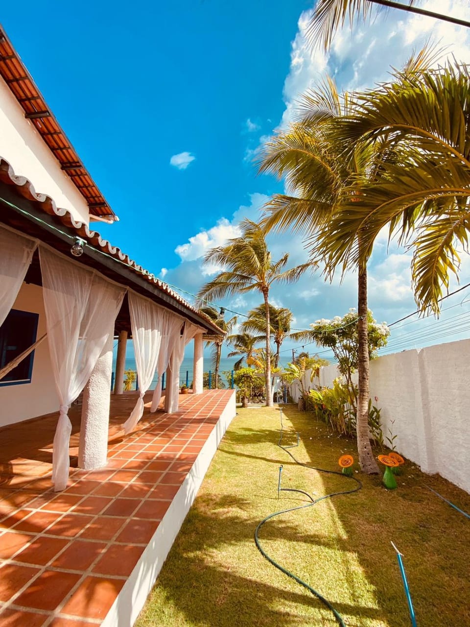 Garden view