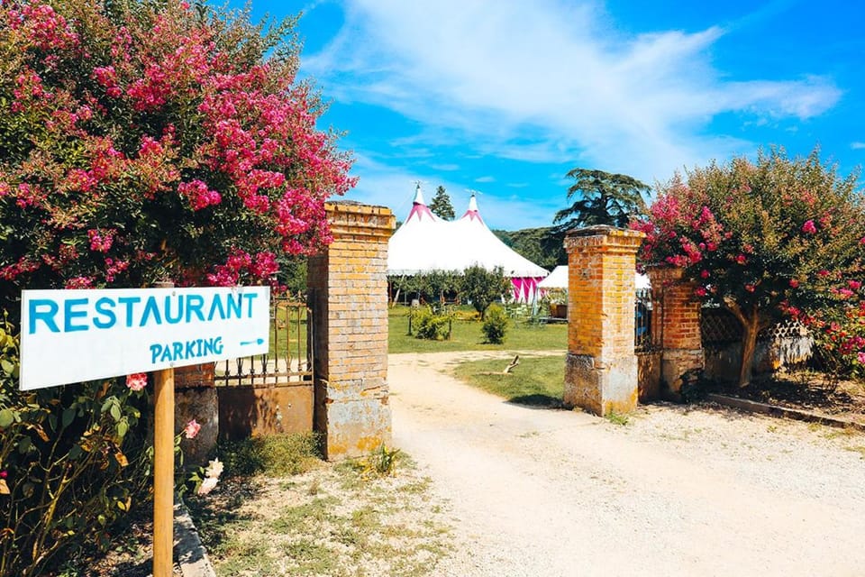 La Maison du Saula Bed and Breakfast in Occitanie