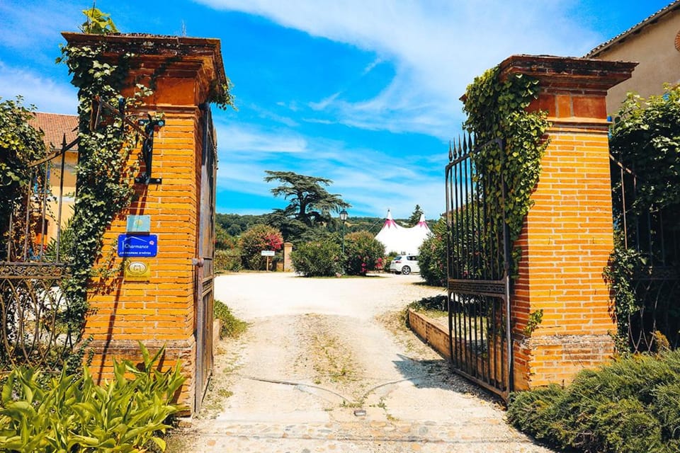 La Maison du Saula Bed and Breakfast in Occitanie