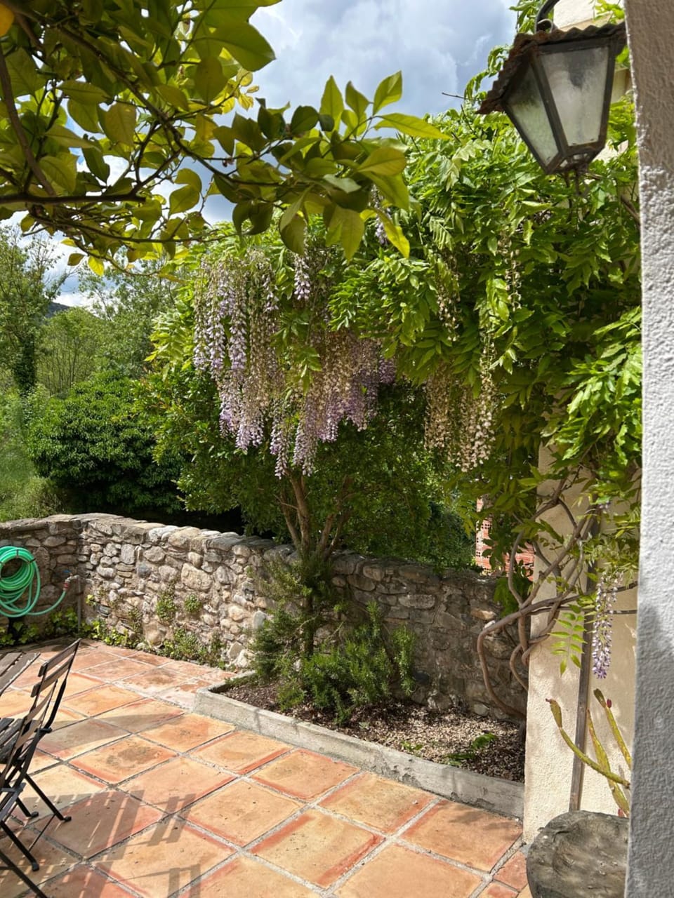 Garden view