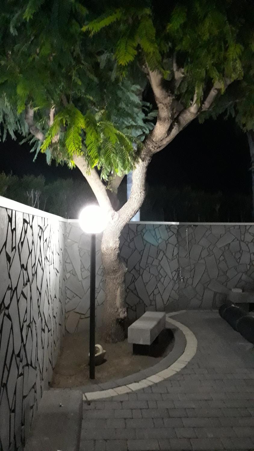 Garden view