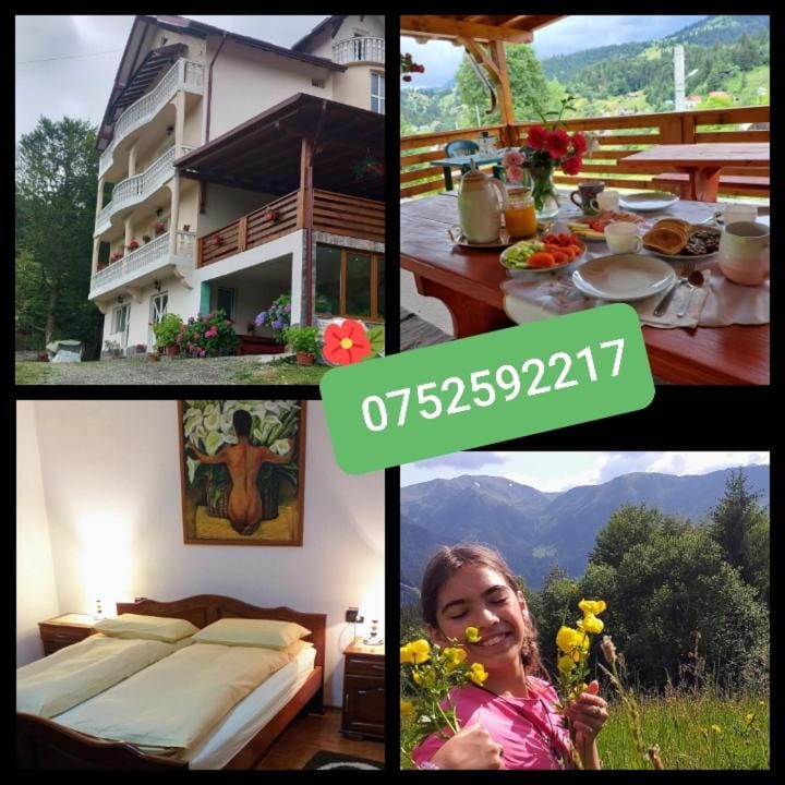 Pensiunea Casa Bradet Bed and Breakfast in Romania