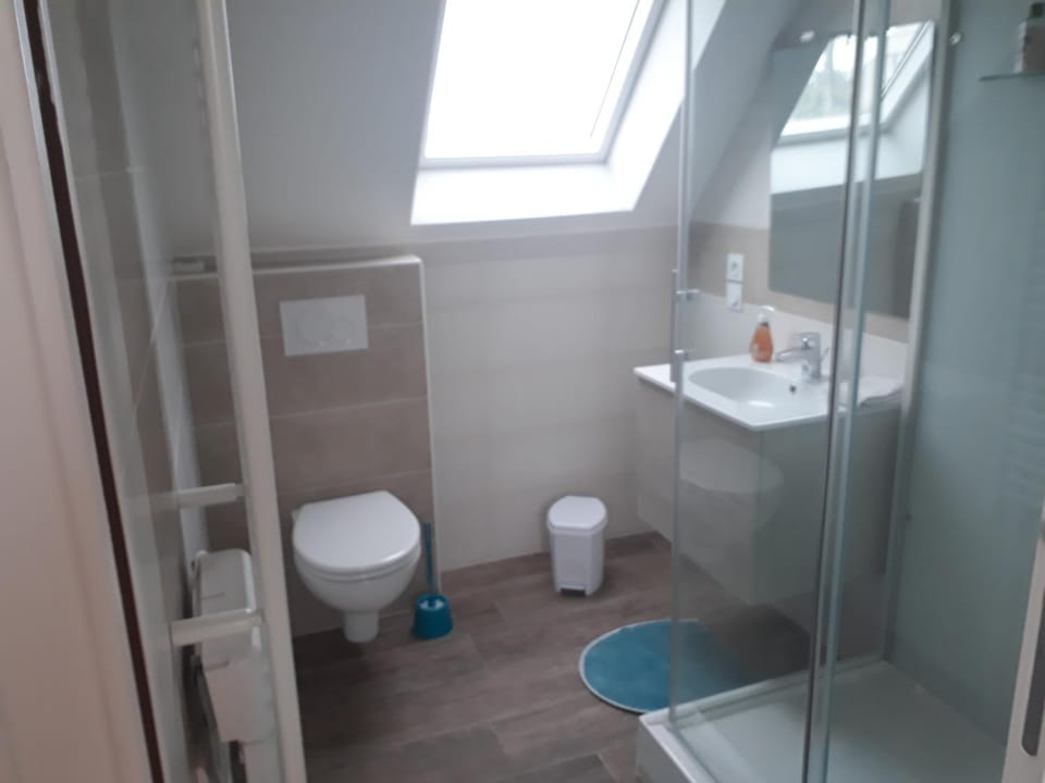 Shower, Toilet, Bathroom, towels