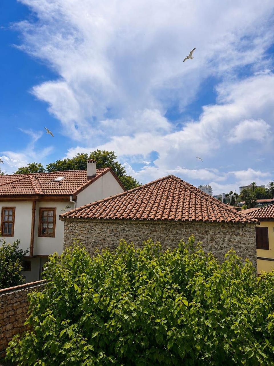 White City Pension Motel in Antalya
