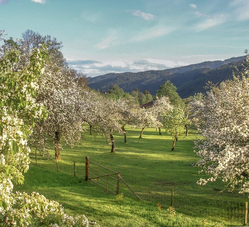 Natural landscape, Garden, View (from property/room), Mountain view