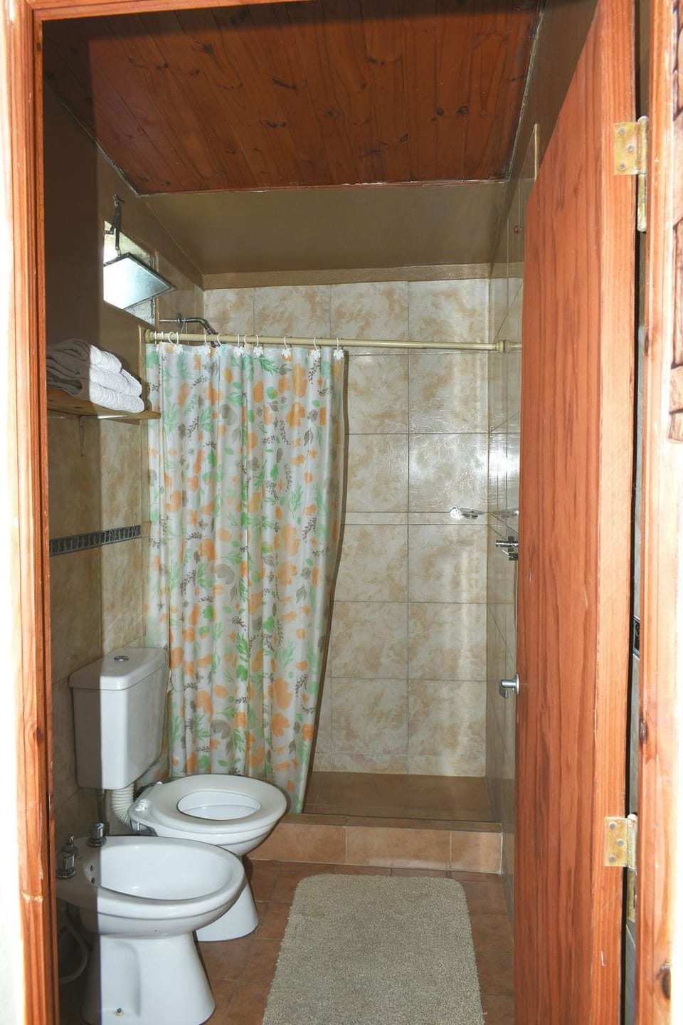 Shower, Toilet, Bathroom, bidet