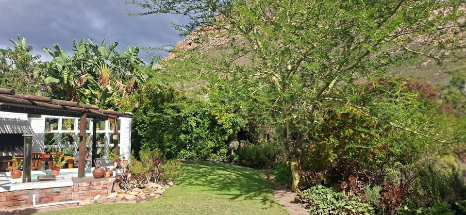 White lily House in Western Cape