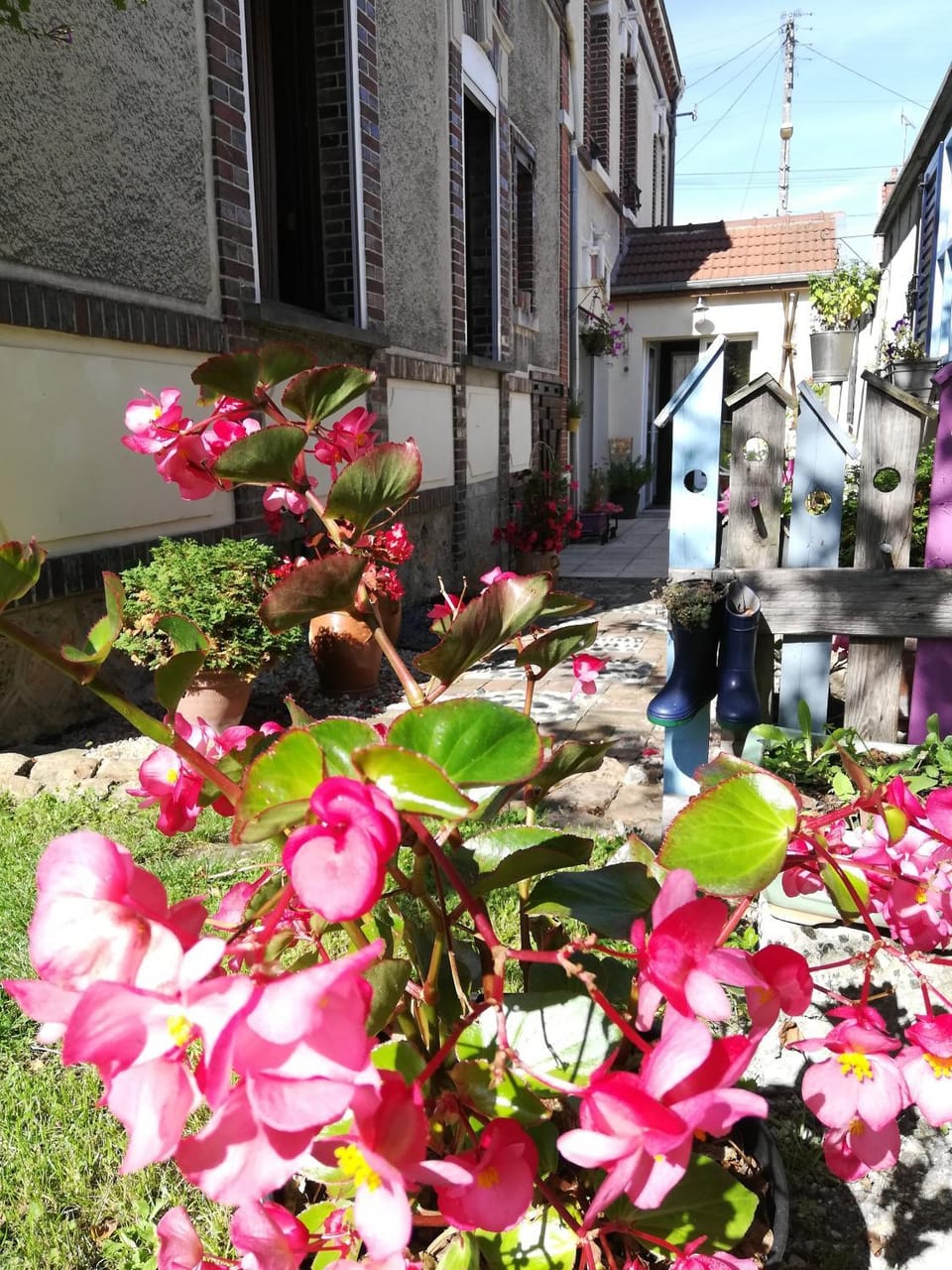 Property building, Patio, Garden