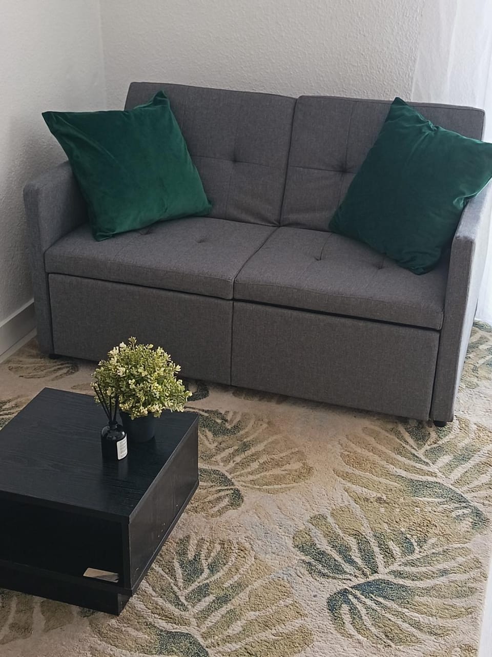 Grande Estudio La Sal Apartment in Torrevieja