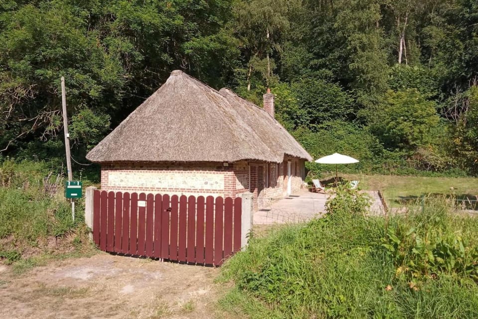 Natural landscape, Garden view
