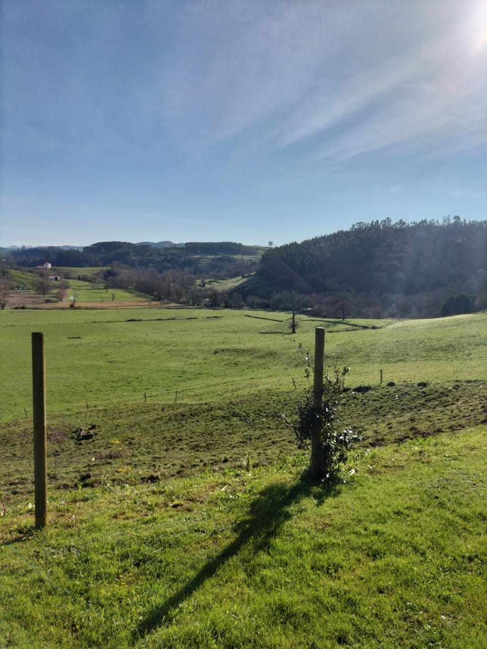 Natural landscape