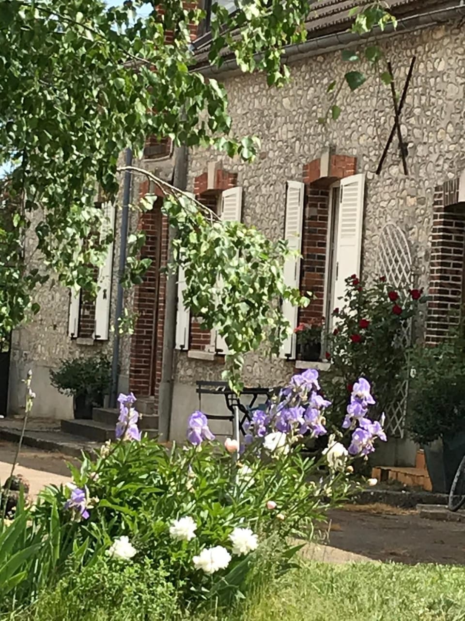 Property building, Garden, Garden view