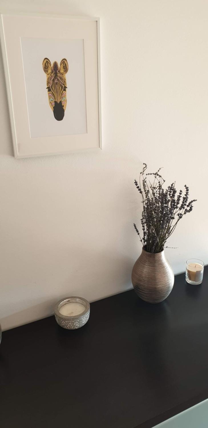 Parkview apartment in Zagreb's favorite neighborhood Apartment in City of Zagreb