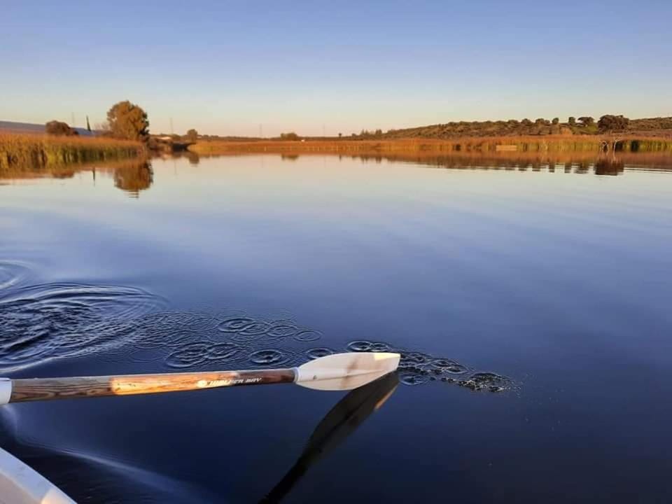 Lake view