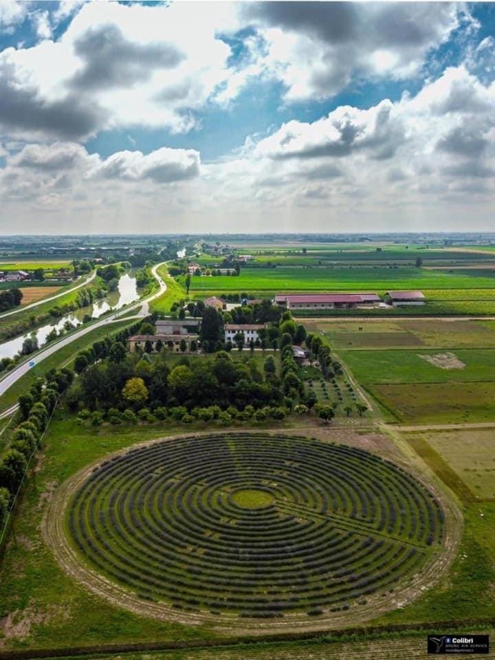 Bird's eye view, Garden, Garden view