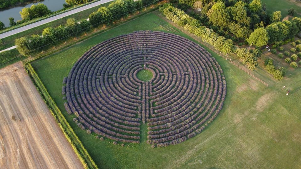 Bird's eye view, Garden, Garden view