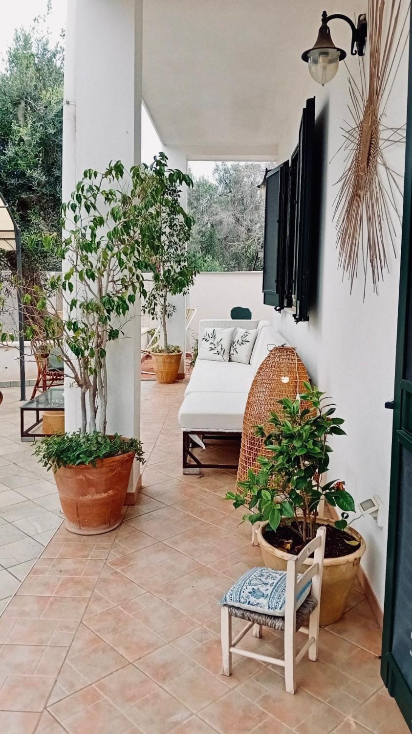 Property building, Patio
