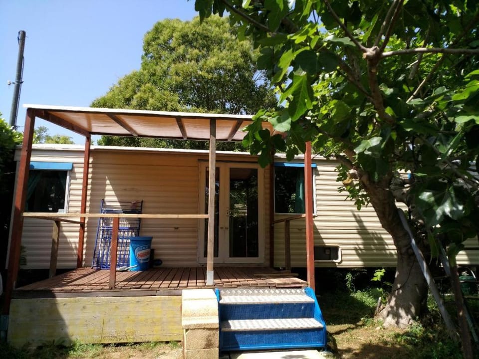Property building, Garden, Garden view