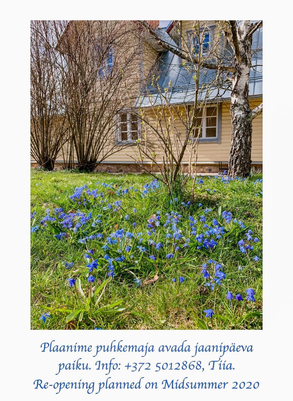 Spring, Neighbourhood, Garden