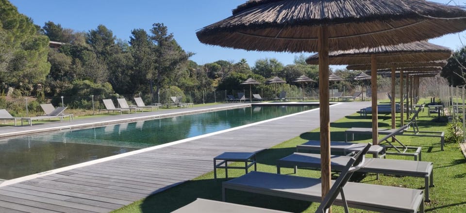 Swimming pool, Swimming pool