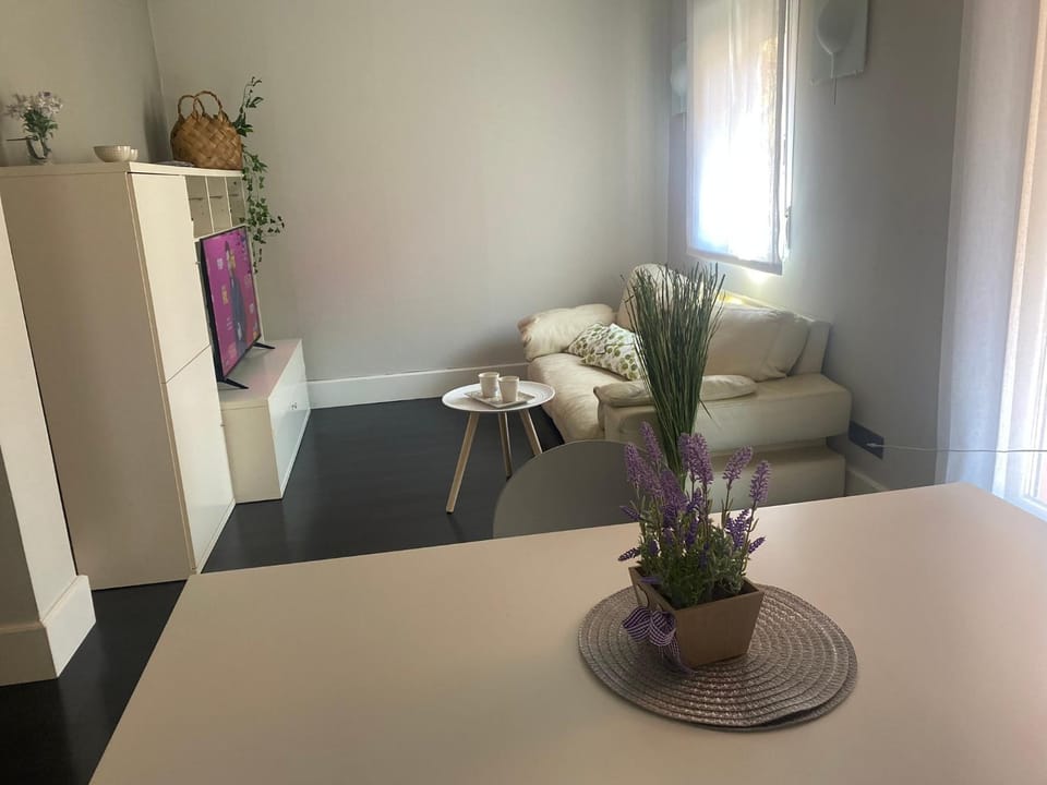 Apartamentos Logroño centro, TIC TAC, wifi Apartment in Logrono