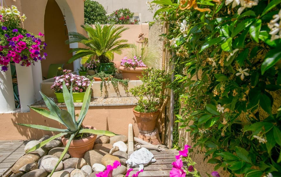 Patio, Day, Other