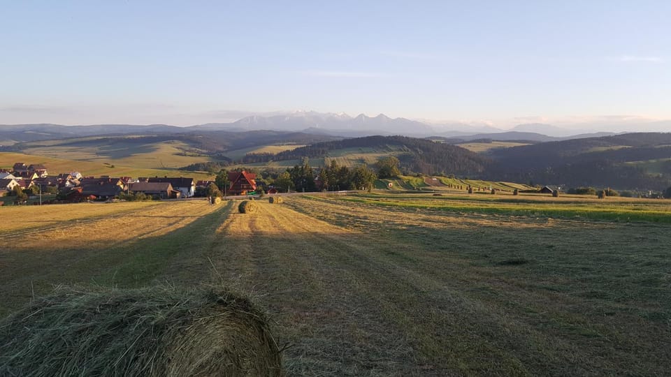Neighbourhood, Natural landscape, Summer, On site
