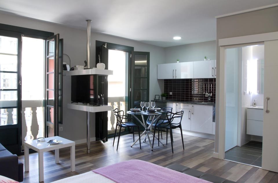 Acio Tinto Loft Casco Histórico de Ourense Apartment in Ourense