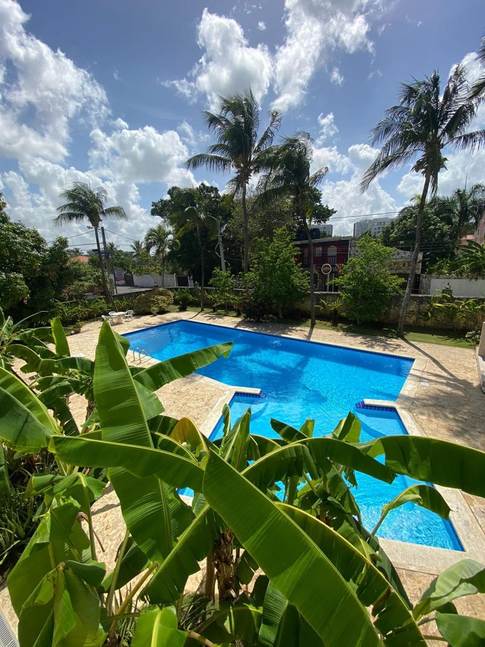 Day, Natural landscape, Garden, Garden view, Pool view, Swimming pool, sunbed
