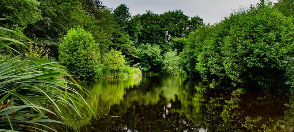 Natural landscape, Garden, View (from property/room)
