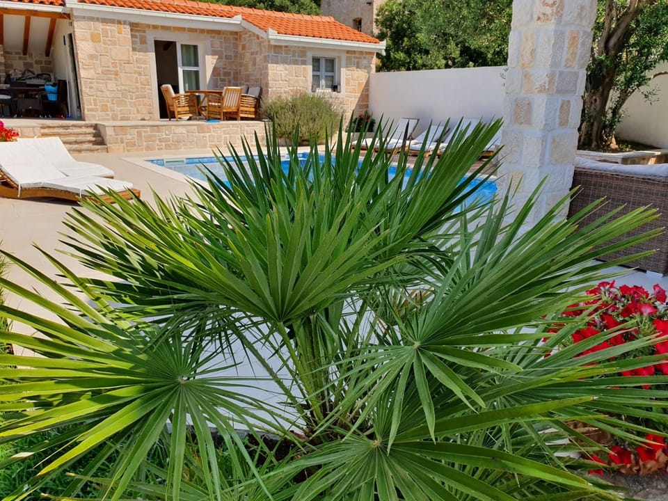 Garden view, Pool view, Swimming pool