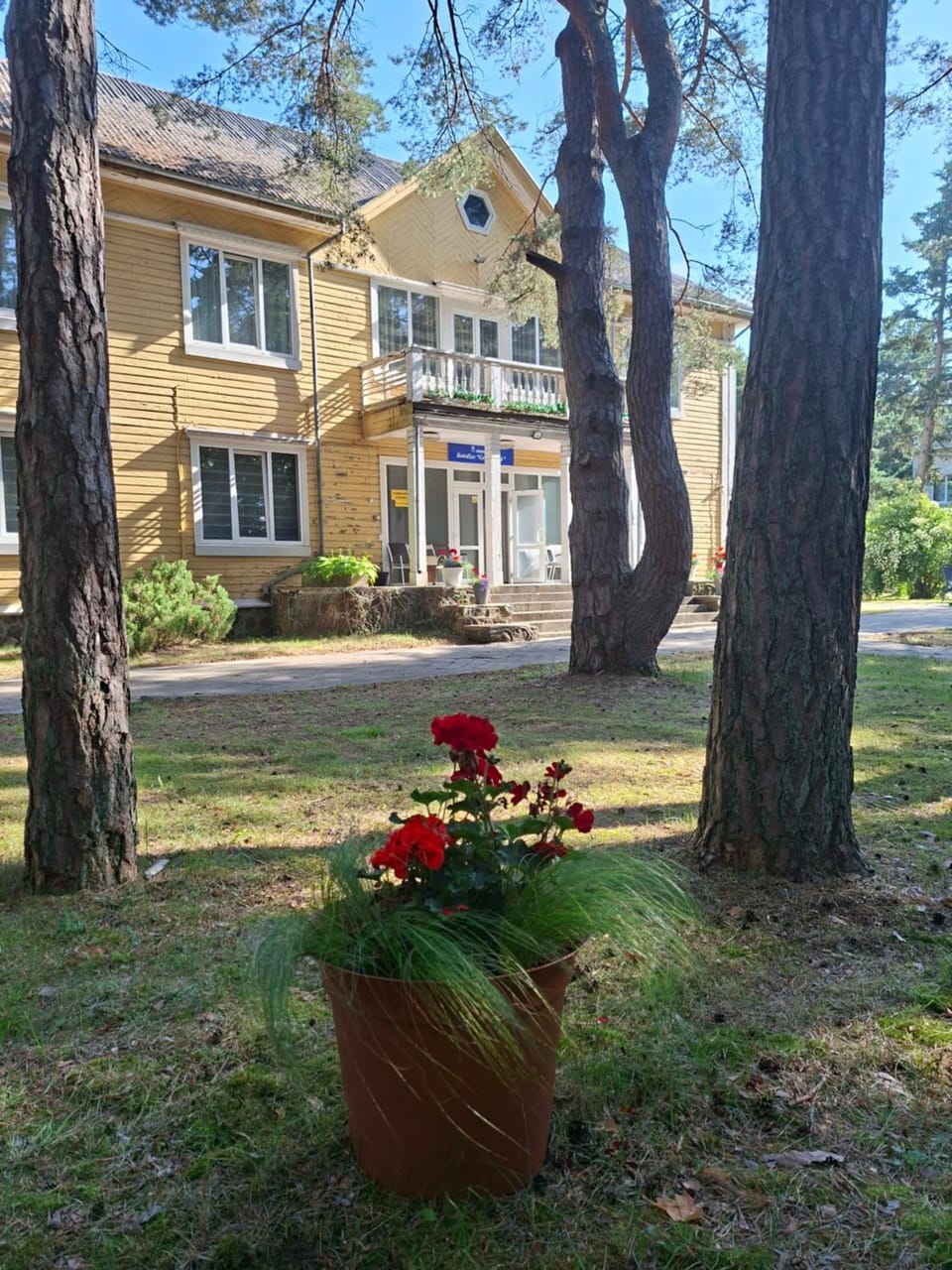 Gedimino vila 6 Bed and Breakfast in Palanga