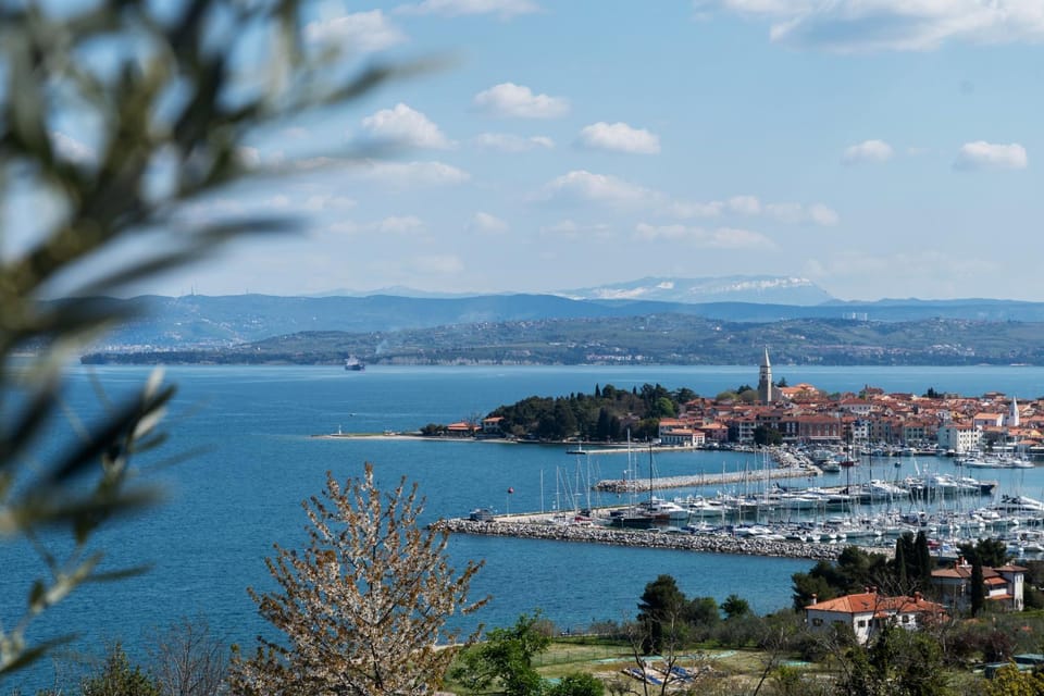 City view, Sea view