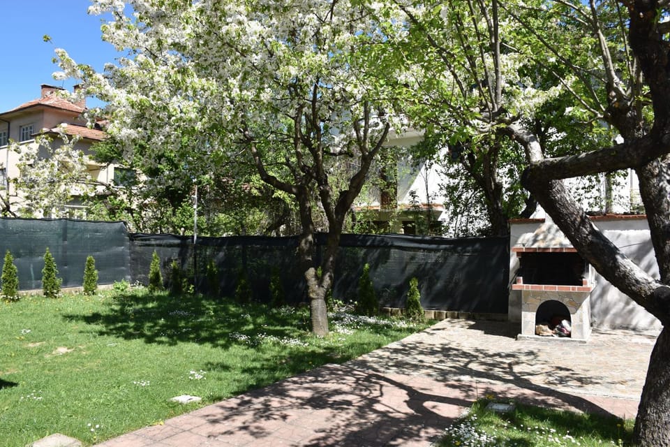 Spring, Natural landscape, BBQ facilities, Garden, Garden view