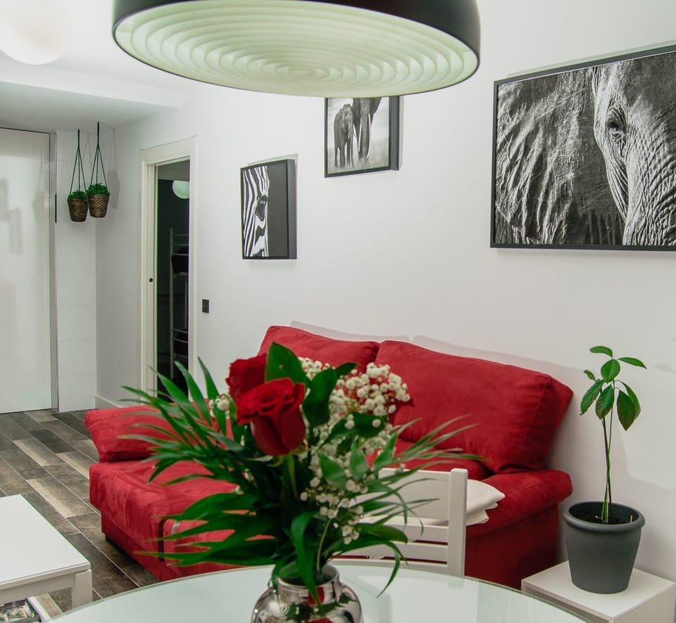 El Rincón de Eva Apartment in Salamanca