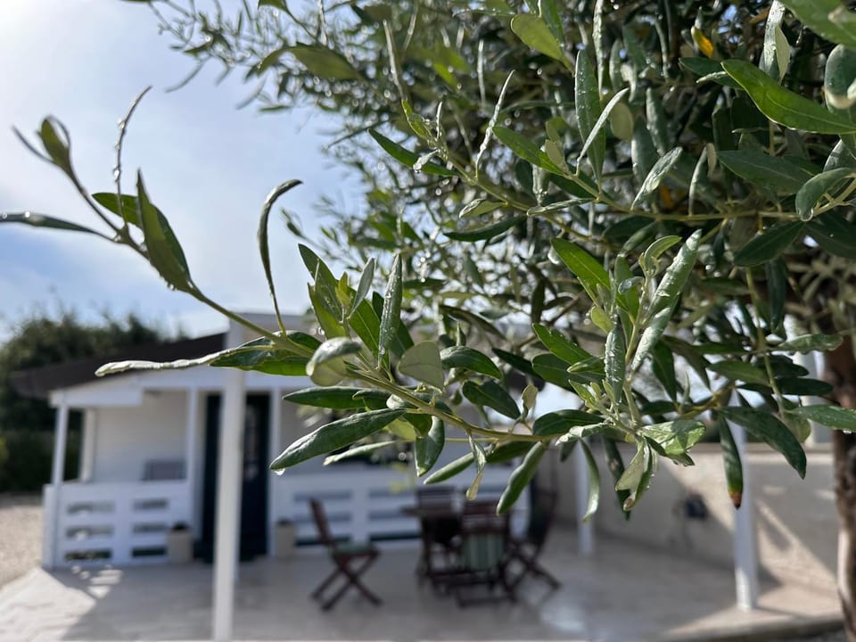 Casetta Arùci Marzamemi Holidays House in Sicily