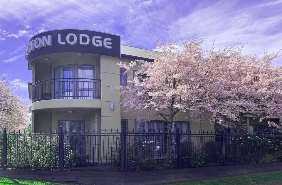 Property building, Spring, Day, Garden, Garden view
